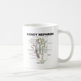 Taza De Café Riñón Nephron