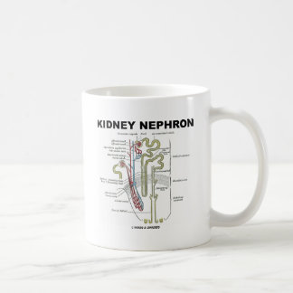 Taza De Café Riñón Nephron
