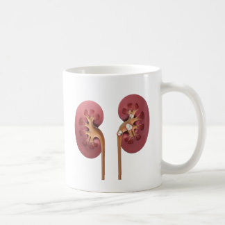Taza De Café riñones