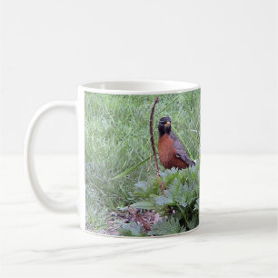Taza De Café Robin estadounidense (macho) Mug