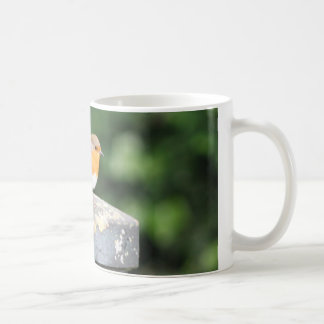 Taza De Café Robin Mug