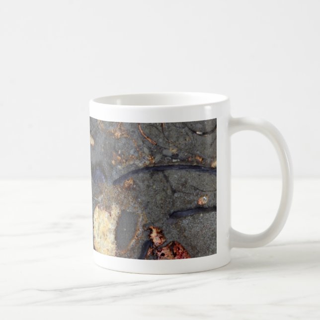 Taza De Café Roca del carbonato con los fósiles (Derecha)