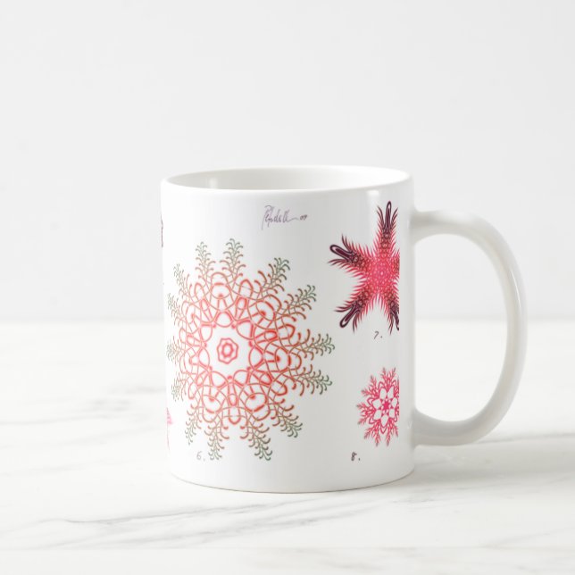 Taza de café roja de la diatomea (Derecha)