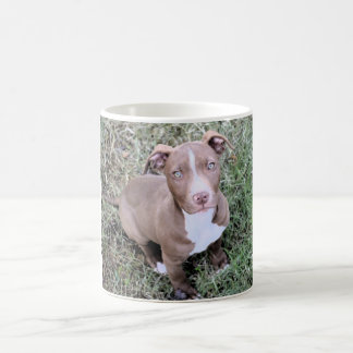 Taza de café roja de Pitbull de la nariz