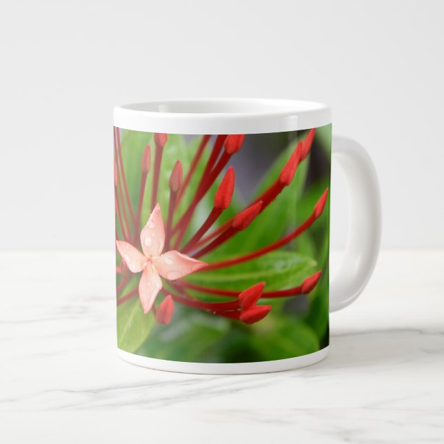 Taza de café roja enorme tropical de Panamá de la (Derecha)