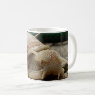 Taza De Café Romano Snail Bug Mug