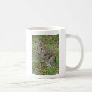 Taza De Café Ropa y regalos del conejo salvaje del este