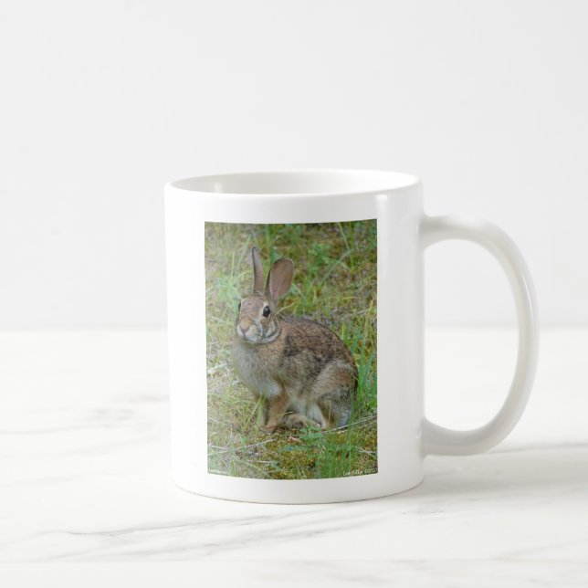 Taza De Café Ropa y regalos del conejo salvaje del este (Derecha)