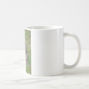 Taza De Café Ropa y regalos del conejo salvaje del este