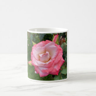 Taza De Café Rosa #3 Mug