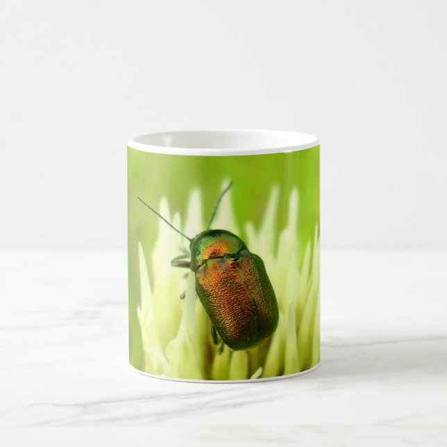 Taza De Café Rosa Chafer Bug Mug (Centro)