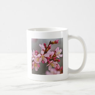 Taza De Café Rosa Contra Un Cielo Gris Flor De Cerezo Japonesa