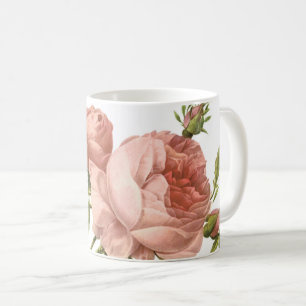 Taza De Café rosa de col (Rosa centifolia foliacea) de Redouté