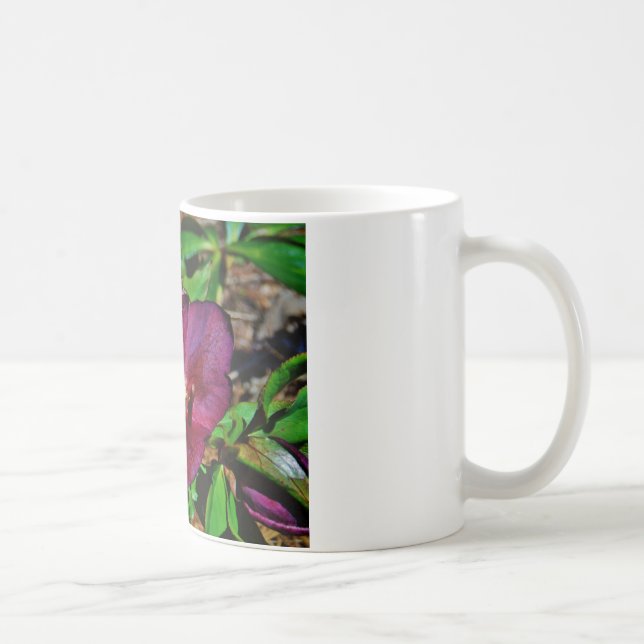 Taza De Café Rosa de Cuaresma Rosa Borgoña (Derecha)