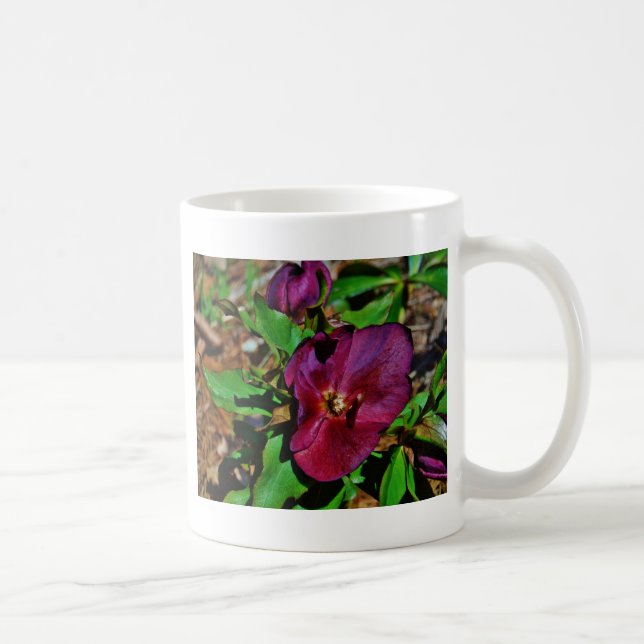 Taza De Café Rosa de Cuaresma Rosa Borgoña (Derecha)