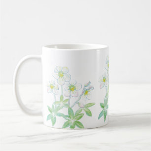Taza De Café rosa de navidades, Helleborus niger