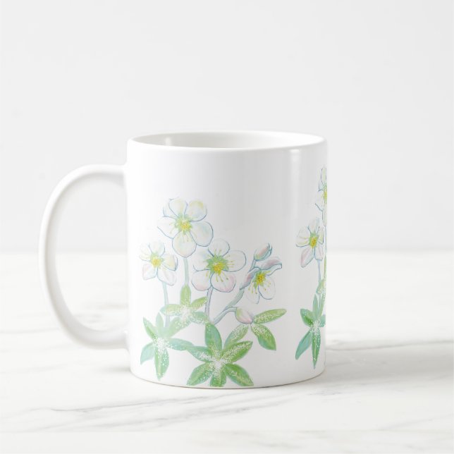 Taza De Café rosa de navidades, Helleborus niger (Izquierda)