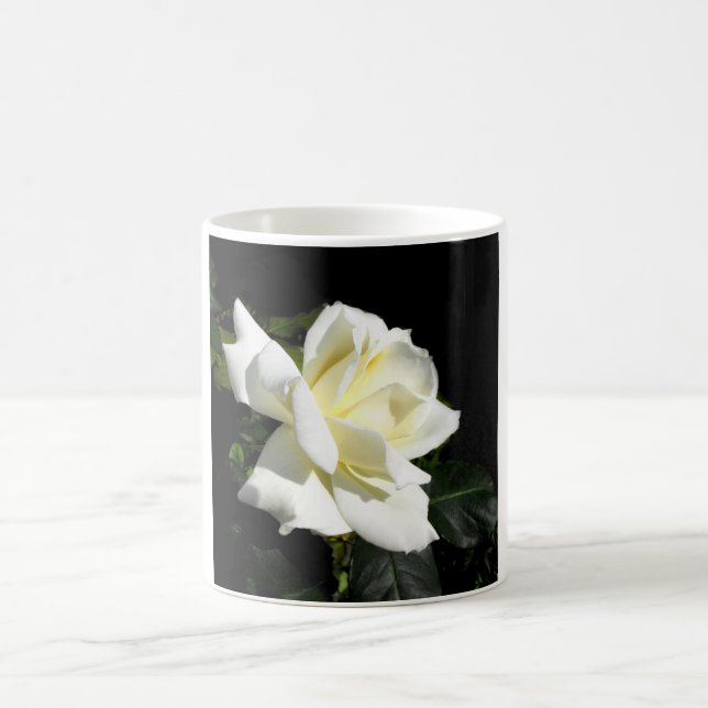 Taza De Café Rosa de té híbrido blanco pascali (Centro)