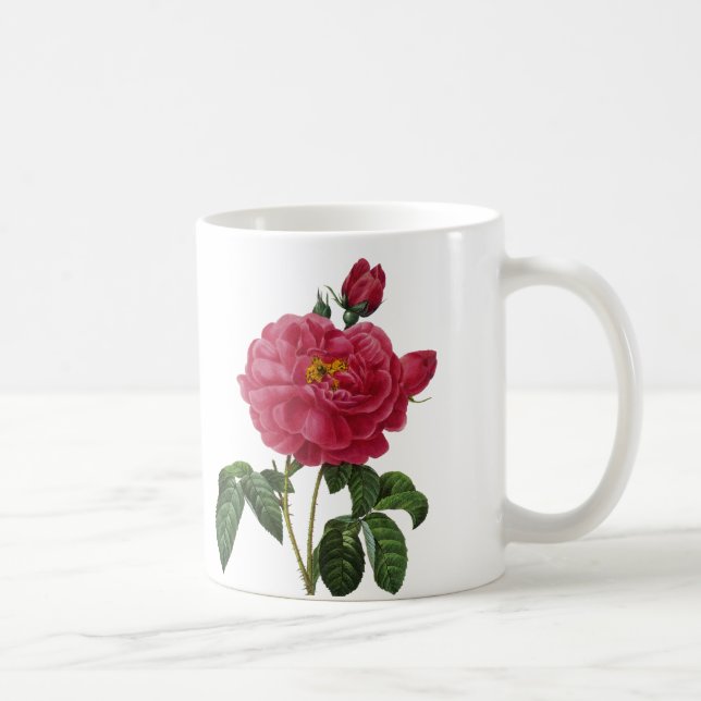 Taza De Café Rosa Gallica (Derecha)