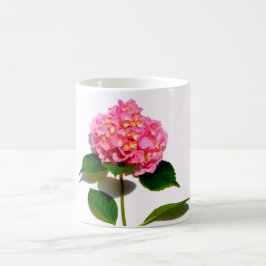 Taza De Café Rosa Hydrangea flor rosa rosa floral rosa