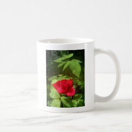 Taza De Café Rosa Roja