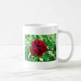 Taza De Café Rosa Roja con Bud