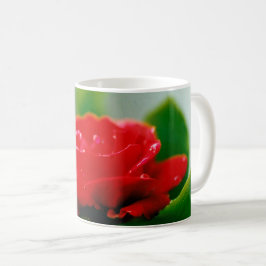 Taza De Café Rosa roja matutina cubierta de rocío