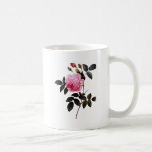 Taza De Café Rosa rosa flor, Pierre Joseph Redouté