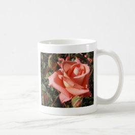 Taza De Café Rosa Rosa Melocotón