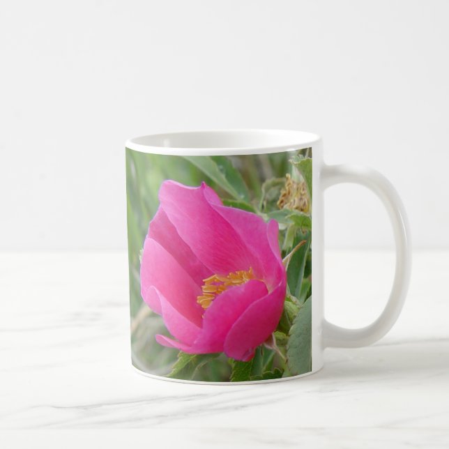 Taza De Café Rosa silvestre F7 (Derecha)