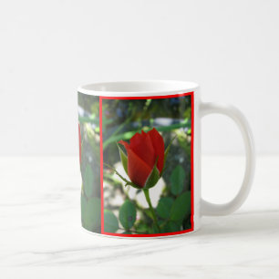 Taza De Café Rosas ROJOS