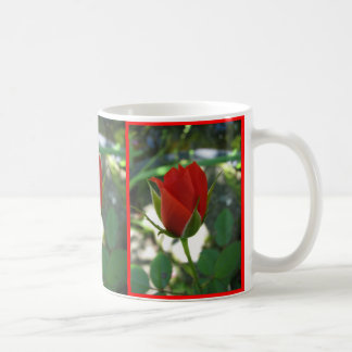 Taza De Café Rosas ROJOS