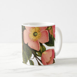 Taza De Café Rosas Vintage Hermosas Rosas Botánicas Rosadas