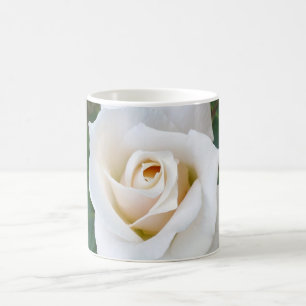 Taza De Café rosebudo blanco