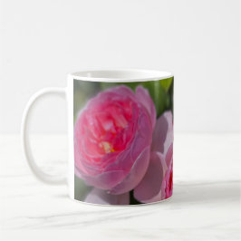 Taza De Café Roses rosadas de Bonito de bonito