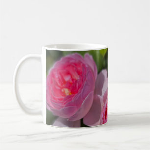 Taza De Café Roses rosadas de Bonito de bonito