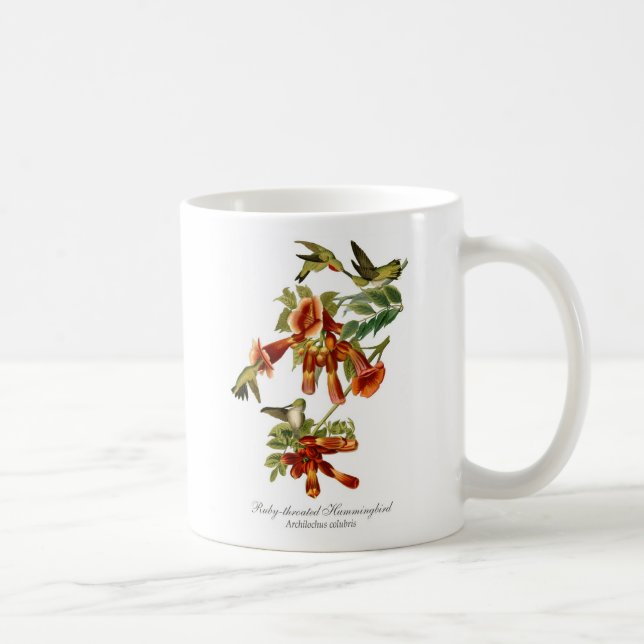 taza de café Rubí-throated del colibrí (Derecha)