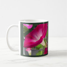 Taza De Café Ruby Red Morning Glory