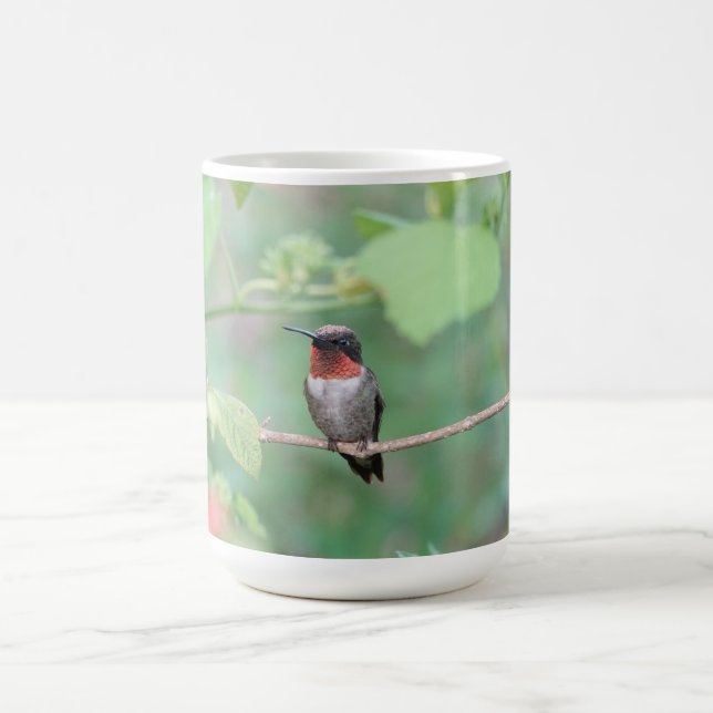 Taza De Café Ruby Throed Hummingbird (Centro)