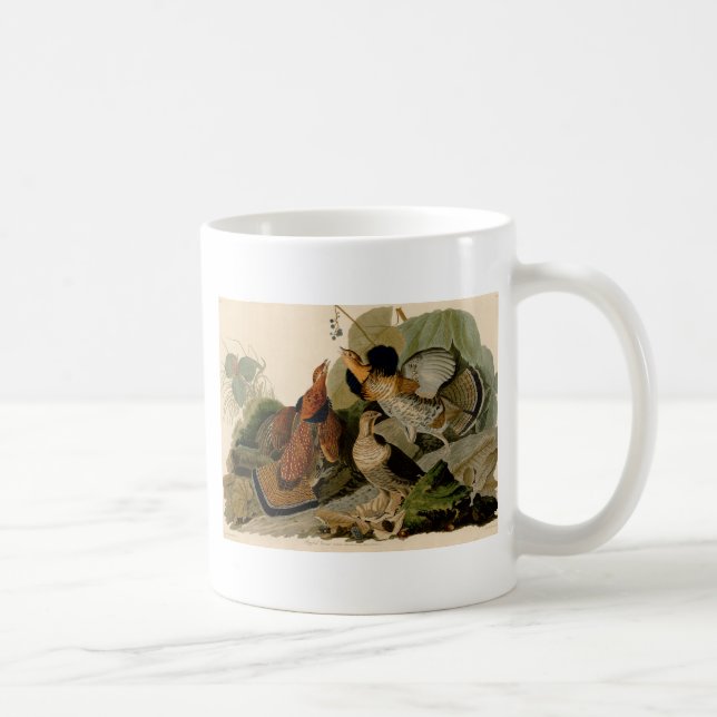 Taza De Café Ruffed Grouse Audubon Game Bird (Derecha)