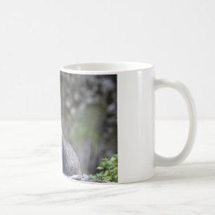 Taza De Café Rupicapra rupicapra