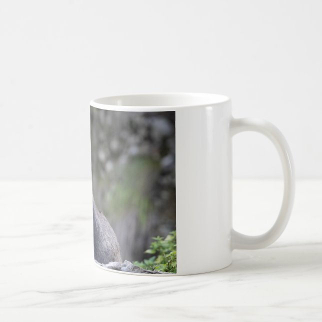 Taza De Café Rupicapra rupicapra (Derecha)