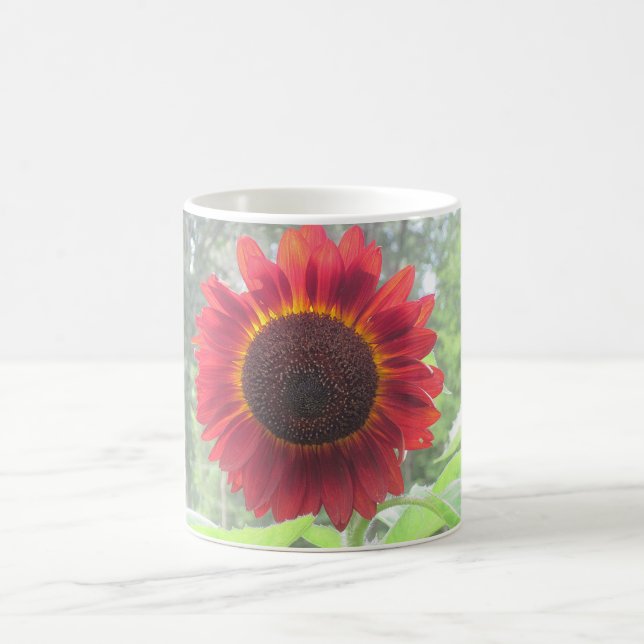 Taza De Café Rusty Red Sunflower Mug (Centro)