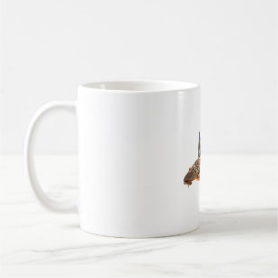 Taza De Café S es para Suckermouth Catfish