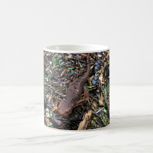 Taza De Café Salamander en el bosque, Washington (Centro)
