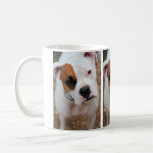 Taza De Café Salto