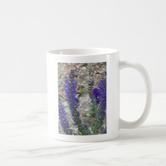 Taza De Café Salvia ~ Primer Bloom (Derecha)