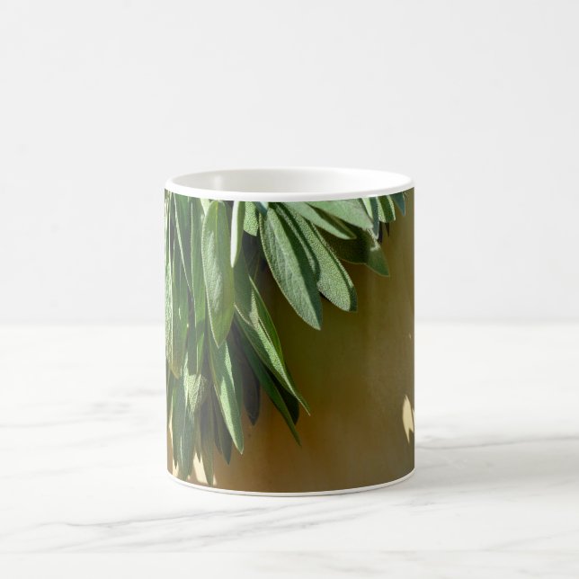 Taza De Café Salvia recién cortada (Centro)