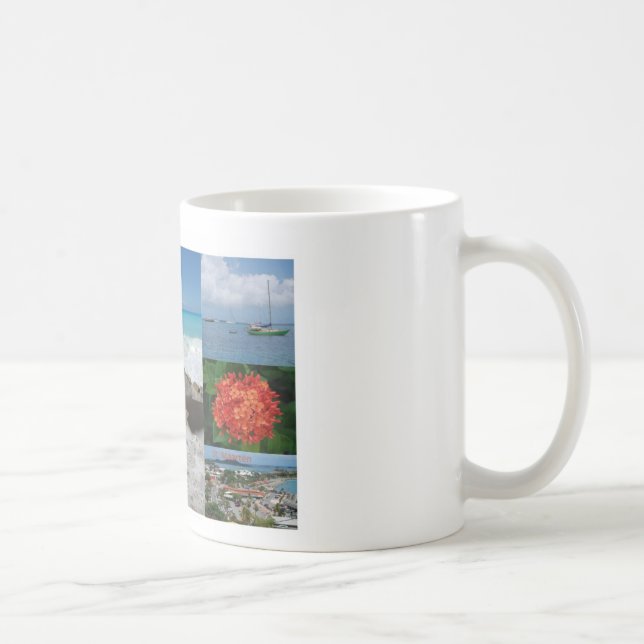 Taza De Café San Martín. Foto de A. Celeste Sheffey (Derecha)