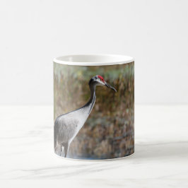 Taza De Café Sandhill Crane